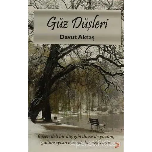 Güz Düşleri - Davut Aktaş - Cinius Yayınları