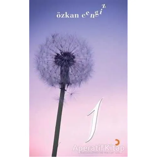 1 - Özkan Cengiz - Cinius Yayınları
