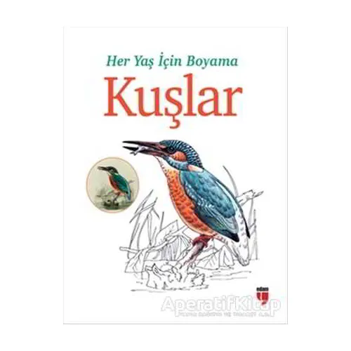 Her Yaş İçin Boyama - Kuşlar - Kolektif - EDAM