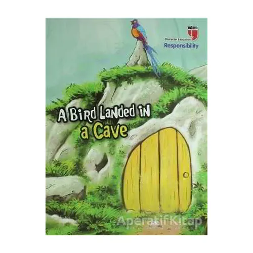 A Bird Landed in a Cave - Responsibility - Neriman Karatekin - EDAM