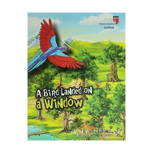 A Bird Landed On a Window - Kolektif - EDAM