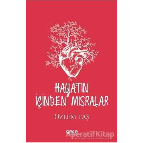 Hayatın İçinden Mısralar - Özlem Taş - Gece Kitaplığı