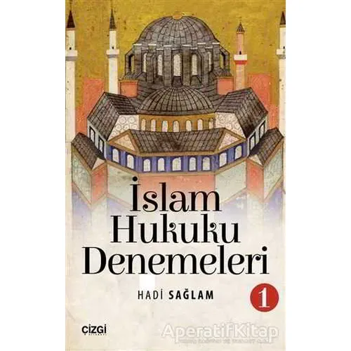 İslam Hukuku Denemeleri 1 - Hadi Sağlam - Çizgi Kitabevi Yayınları