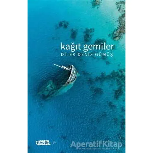 Kağıt Gemiler - Dilek Deniz Gümüş - Tebeşir Yayınları