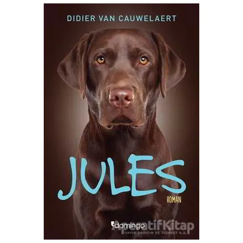 Jules - Didier von Cauwelaert - Domingo Yayınevi