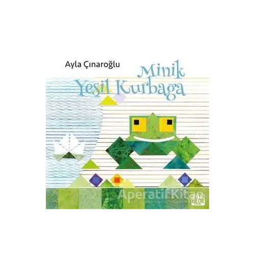 Minik Yeşil Kurbağa - Ayla Çınaroğlu - Nota Bene Yayınları