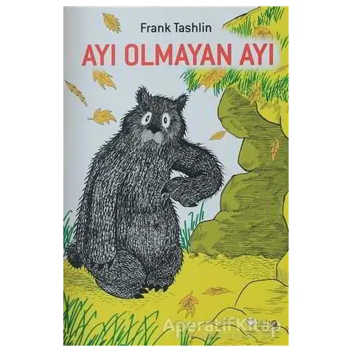 Ayı Olmayan Ayı - Frank Tashlin - Redhouse Kidz Yayınları