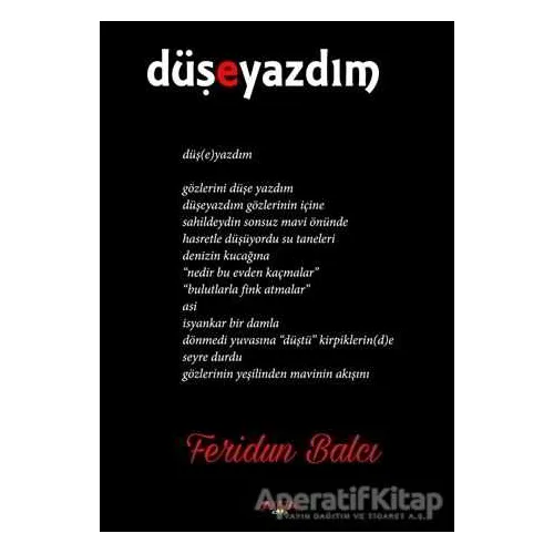Düşeyazdım - Feridun Balcı - Ayata Kitap