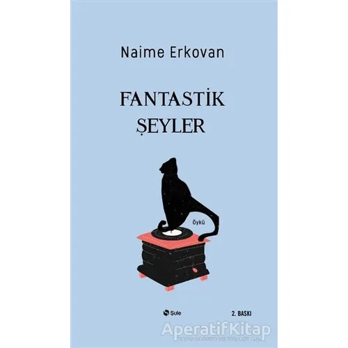 Fantastik Şeyler - Naime Erkovan - Şule Yayınları