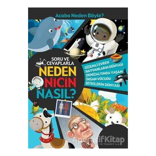 Soru ve Cevaplarla Neden Niçin Nasıl? - Kolektif - Pogo Çocuk