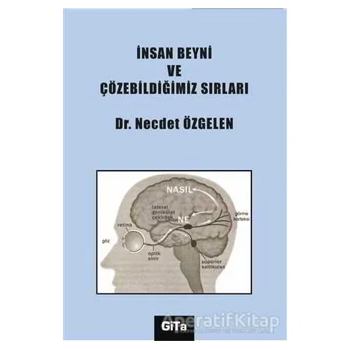İnsan Beyni ve Çözebildiğimiz Sırları - Necdet Özgelen - Gita Yayınları