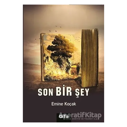 Son Bir Şey - Emine Koçak - Gita Yayınları