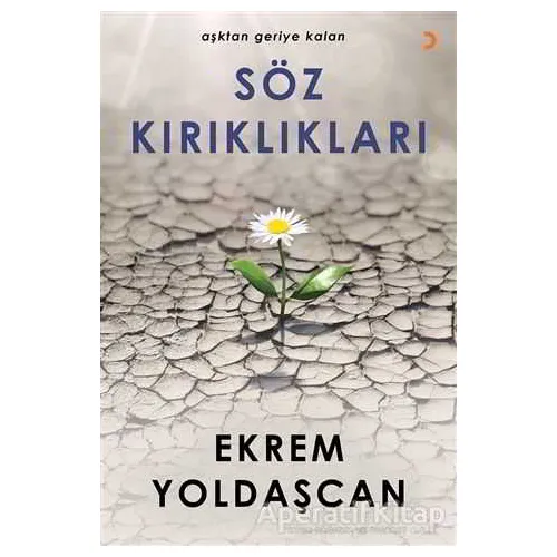 Söz Kırıklıkları - Ekrem Yoldaşcan - Cinius Yayınları