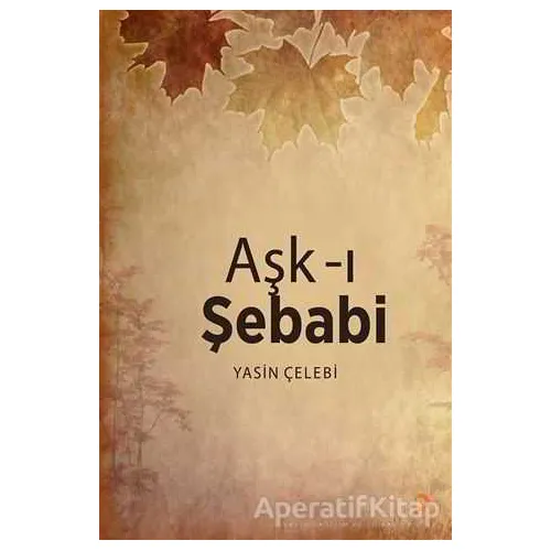 Aşk-ı Şebabi - Yasin Çelebi - Cinius Yayınları
