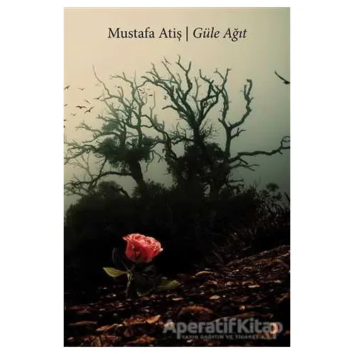 Güle Ağıt - Mustafa Atiş - Cinius Yayınları