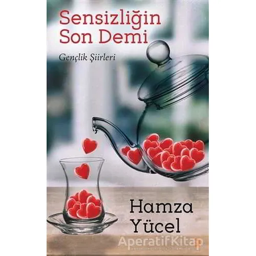 Sensizliğin Son Demi - Hamza Yücel - Cinius Yayınları