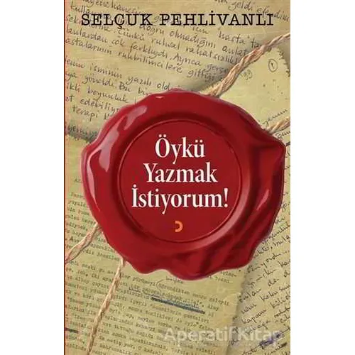 Öykü Yazmak İstiyorum! - Selçuk Pehlivanlı - Cinius Yayınları