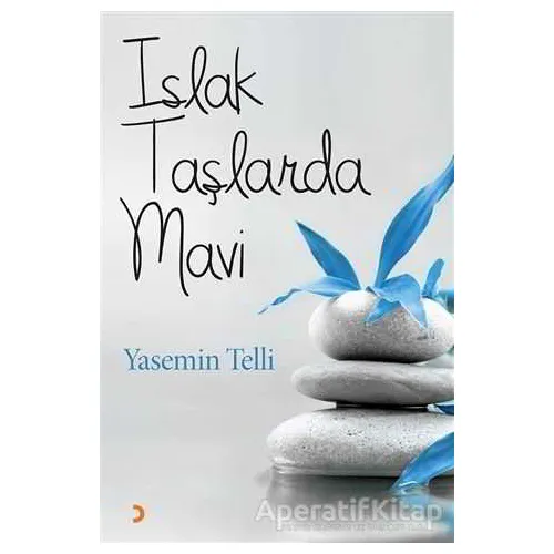 Islak Taşlarda Mavi - Yasemin Telli - Cinius Yayınları