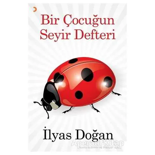 Bir Çocuğun Seyir Defteri - İlyas Doğan - Cinius Yayınları