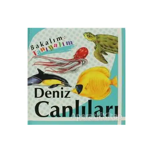 Bakalım Tanıyalım: Deniz Canlıları - Kolektif - Final Kültür Sanat Yayınları