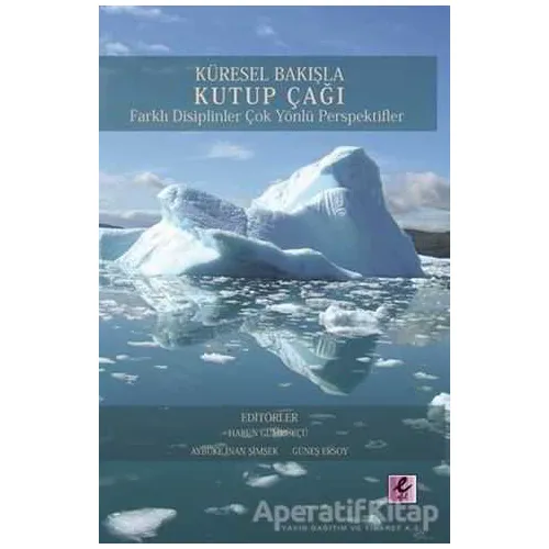 Küresel Bakışla Kutup Çağı - Kolektif - Efil Yayınevi