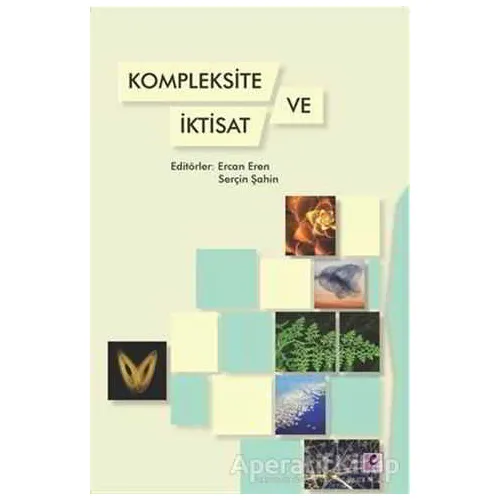 Kompleksite ve İktisat - Kolektif - Efil Yayınevi