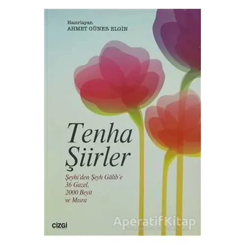 Tenha Şiirler - Ahmet Güner Elgin - Çizgi Kitabevi Yayınları