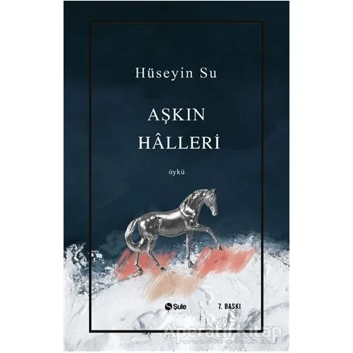 Aşkın Halleri - Hüseyin Su - Şule Yayınları