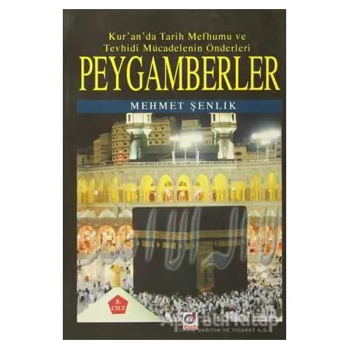 Peygamberler 5. Cilt - Mehmet Şenlik - Dua Yayınları