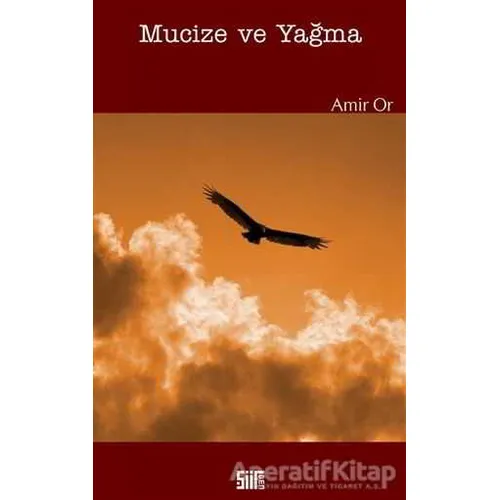 Mucize ve Yağma - Amir Or - Şiirden Yayıncılık