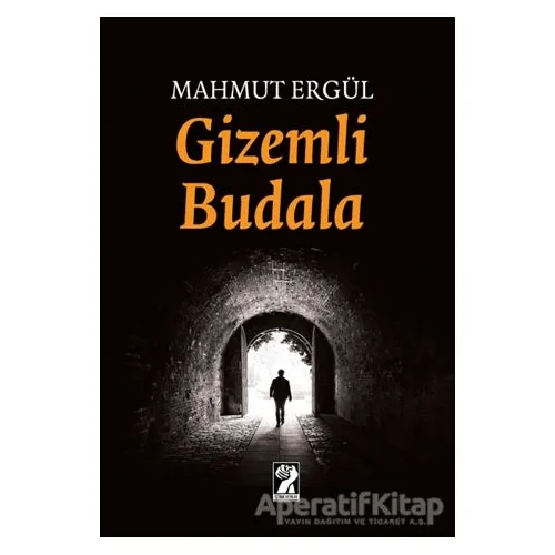 Gizemli Budala - Mahmut Ergül - İştirak Yayınevi