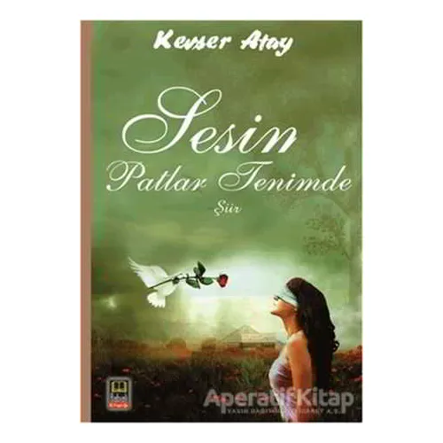 Sesin Patlar Tenimde - Kevser Atay - Ozan Yayıncılık