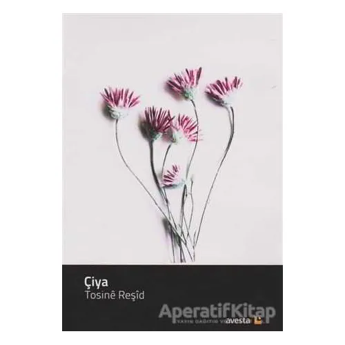 Çiya - Tosine Reşid - Avesta Yayınları