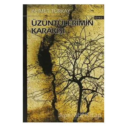 Üzüntülerimin Karakışı - Ahmet Türkay - Kora Yayın