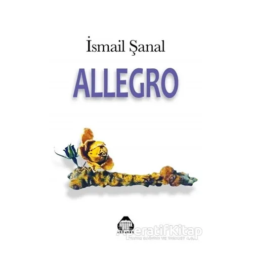 Allegro - İsmail Şanal - Alan Yayıncılık
