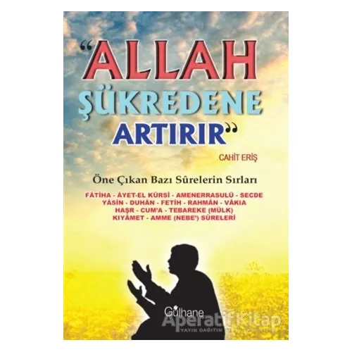 Allah Şükredene Artırır - Cahit Eriş - Gülhane Yayınları