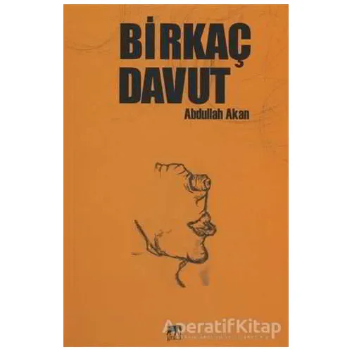 Birkaç Davut - Abdullah Akan - Gram Yayınları