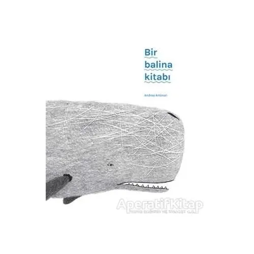 Bir Balina Kitabı - Andrea Antinori - MEAV Yayıncılık