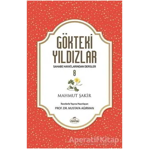 Gökteki Yıldızlar 8 - Mustafa Ağırman - Ravza Yayınları