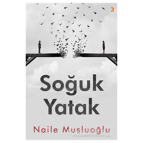 Soğuk Yatak - Naile Musluoğlu - Cinius Yayınları