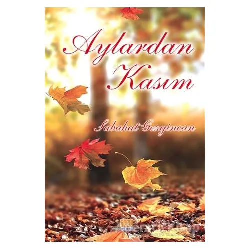 Aylardan Kasım - Sabahat Gezgincan - Tunç Yayıncılık