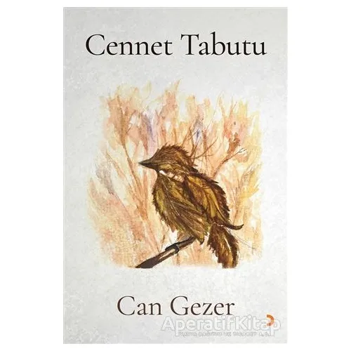 Cennet Tabutu - Can Gezer - Cinius Yayınları