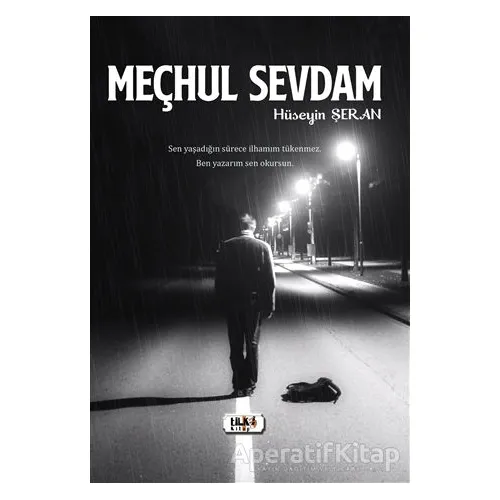 Meçhul Sevdam - Hüseyin Şeran - Tilki Kitap