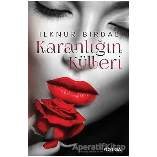Karanlığın Külleri - İlknur Birdal - Postiga Yayınları