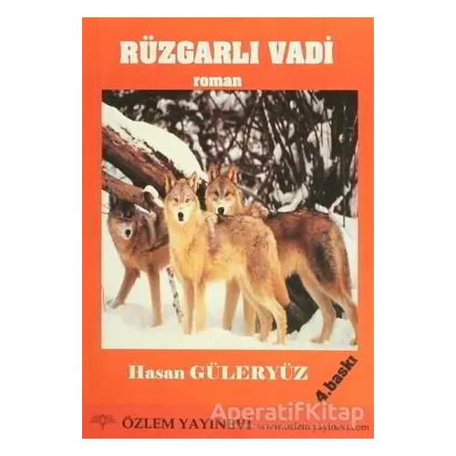 Rüzgarlı Vadi - Hasan Güleryüz - Özlem Yayınevi