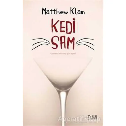 Kedi Sam - Matthew Klam - Aylak Adam Kültür Sanat Yayıncılık