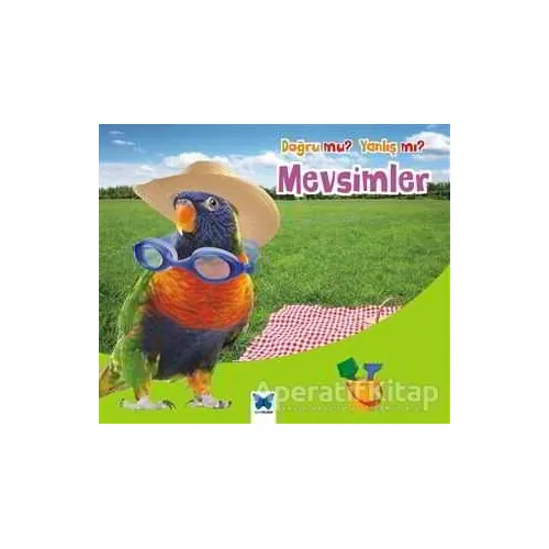 Doğru mu? Yanlış mı?: Mevsimler - Daniel Nunn - Mavi Kelebek Yayınları