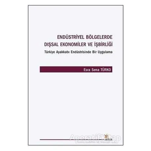 Endüstriyel Bölgelerde Dışsal Ekonomiler ve İşbirliği - Esra Sena Türko - Kriter Yayınları