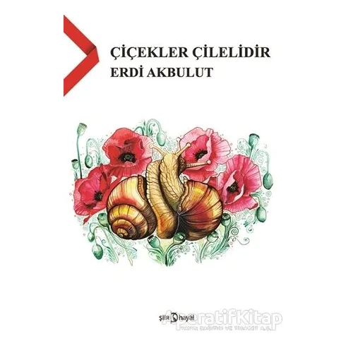 Çiçekler Çilelidir - Erdi Akbulut - Hayal Yayınları