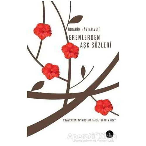 Erenlerden Aşk Sözleri - İbrahim Has Halveti - H Yayınları